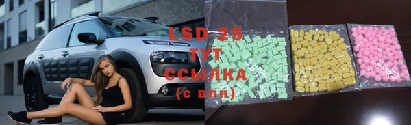 spice Алзамай