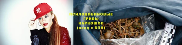 хмурый Алексин
