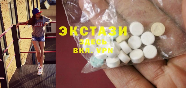 хмурый Алексин