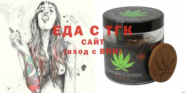 хмурый Алексин